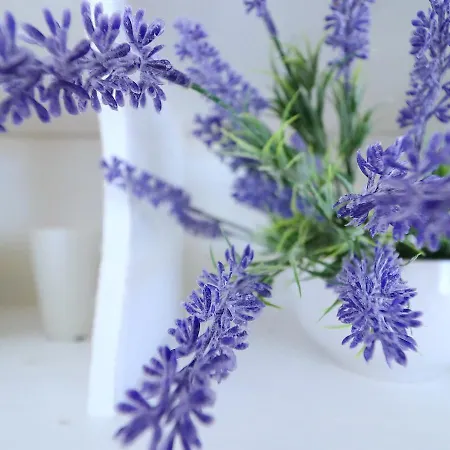 Mediterranean House דירה *