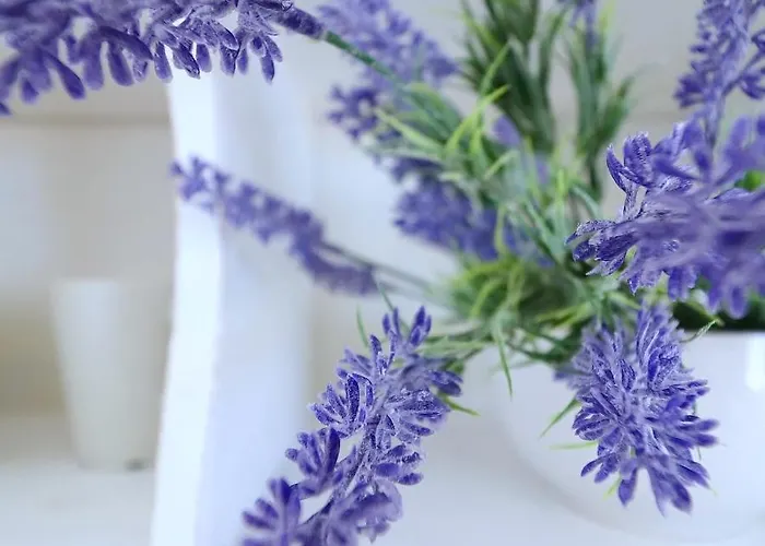 Mediterranean House Lägenhet *